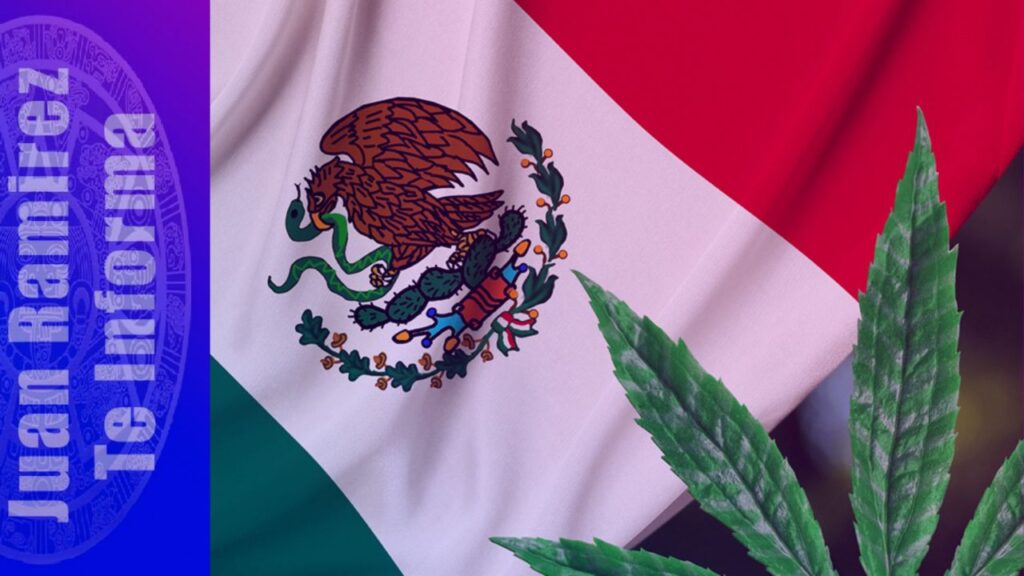 aprueban cananbis en méxico