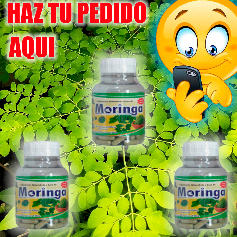 MORINGA PEDIDO 2