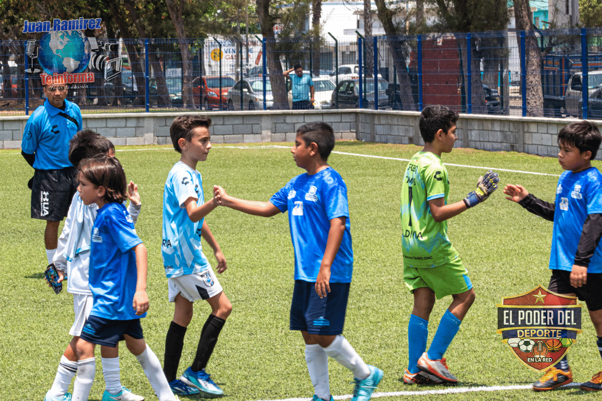 gallos blancos del queretaro 01