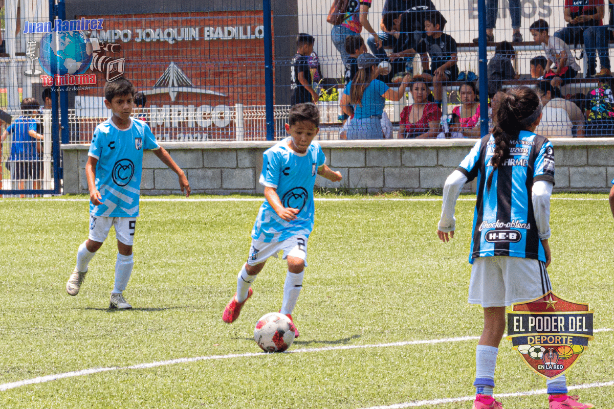 gallos blancos del queretaro 02