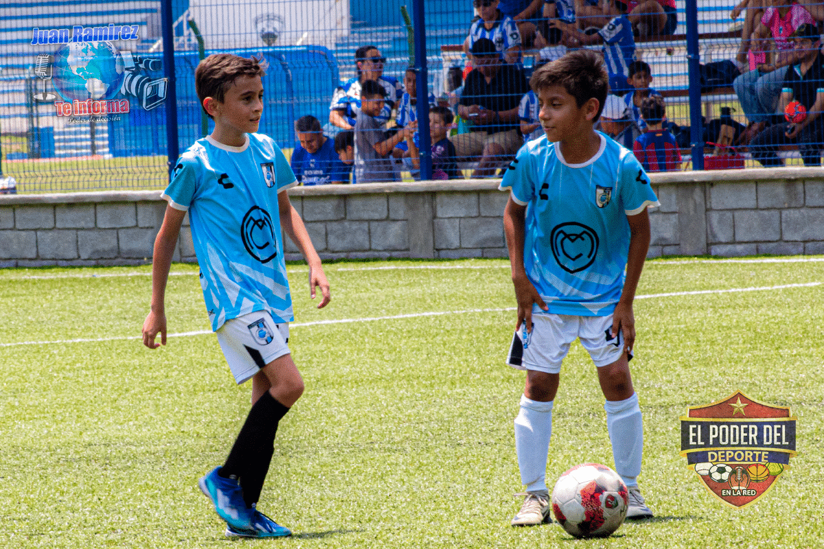 gallos blancos del queretaro 07