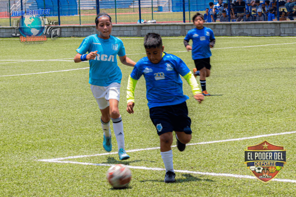 gallos blancos del queretaro 08