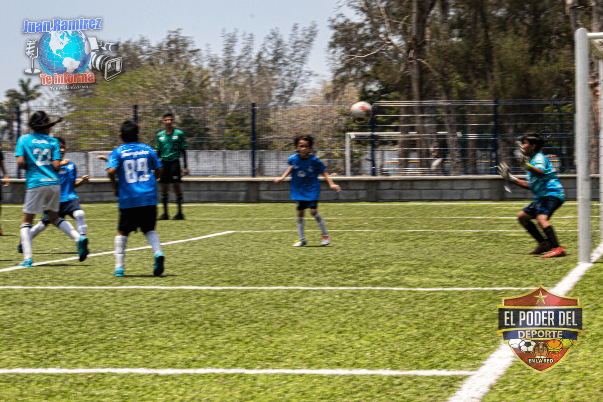 gallos blancos del queretaro 10