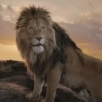 El mejor Cine en Tampico : Mufasa en Cinebox